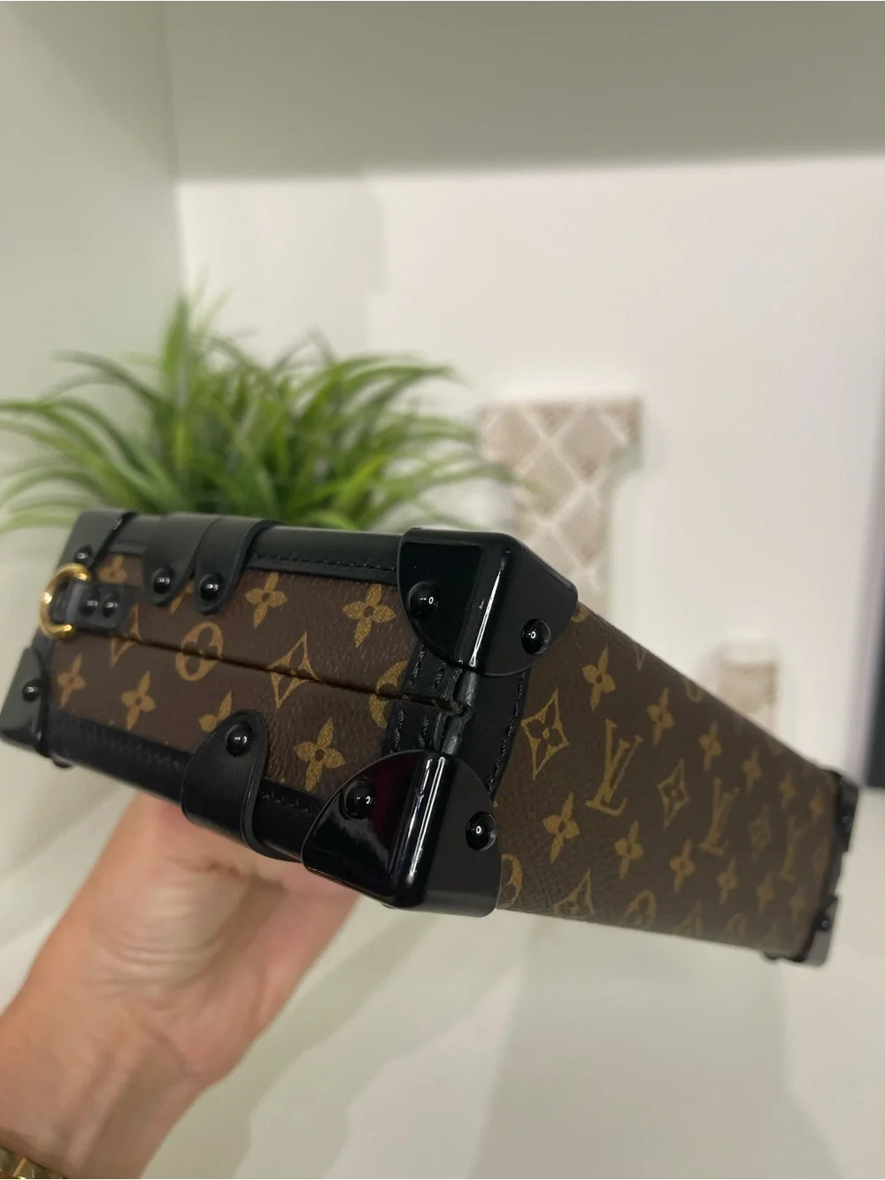 Louis Vuitton Brown Monogram Petite Malle Crossbody Bag